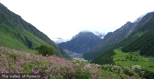 Ganga River In Rishikesh